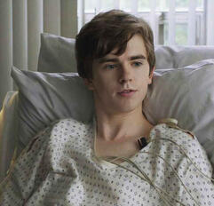 freddie highmore (shaun murphy)